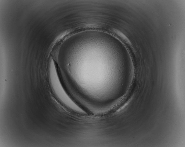 X0000086740930200704131125