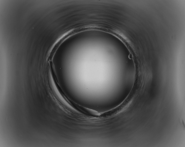 X0000086740933200704131125