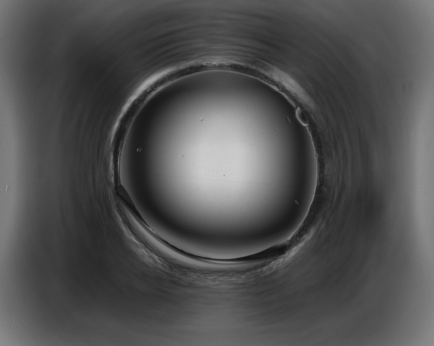 X0000086740934200704131125