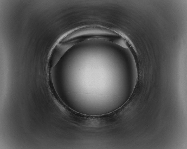 X0000086740935200704131125