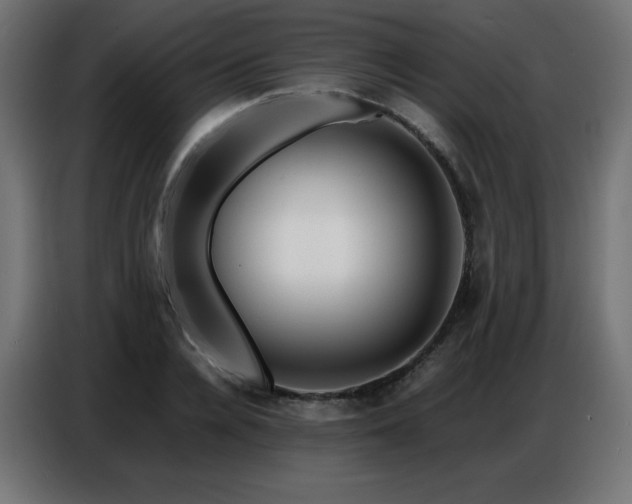 X0000086740936200704131125