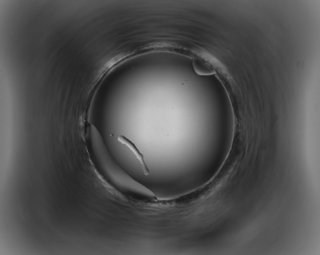 X0000086740937200704131125