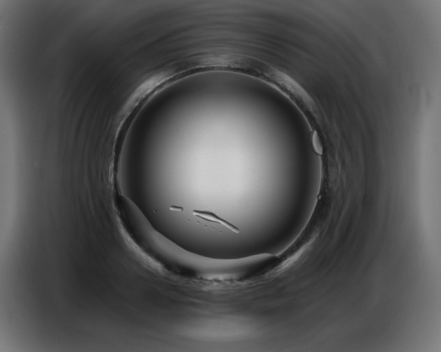 X0000086740938200704131125