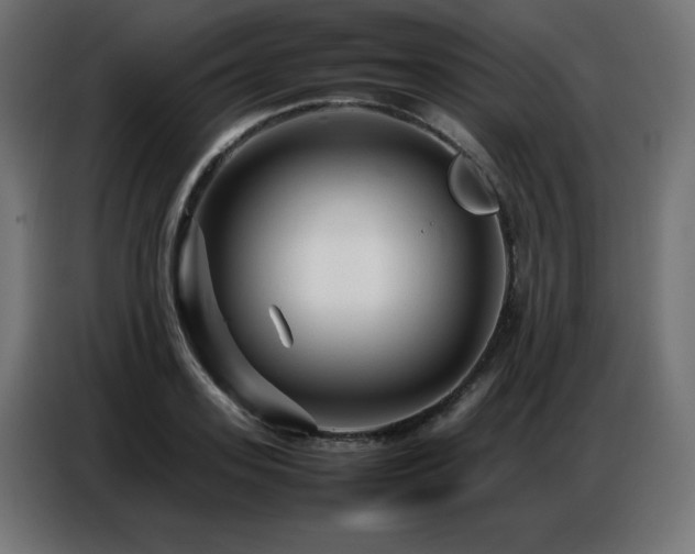 X0000086740939200704131125