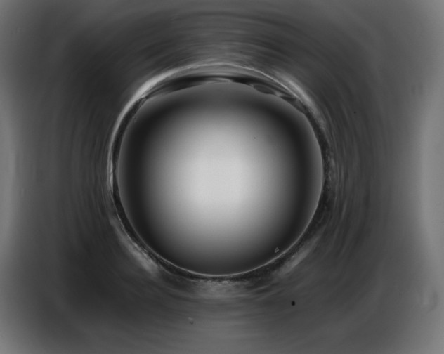 X0000086740940200704131125