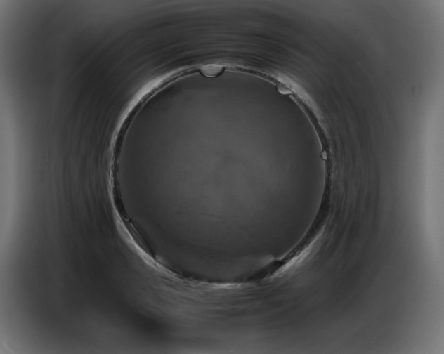 X0000086740941200704131125