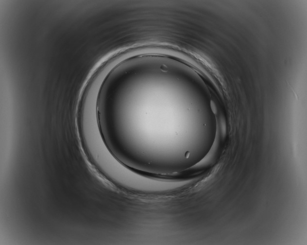 X0000086740942200704131126