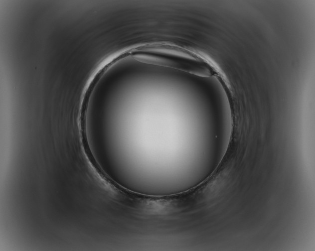 X0000086740943200704131126