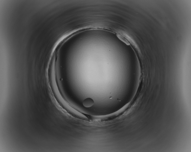 X0000086740944200704131126