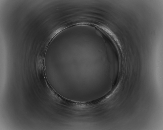 X0000086740945200704131126