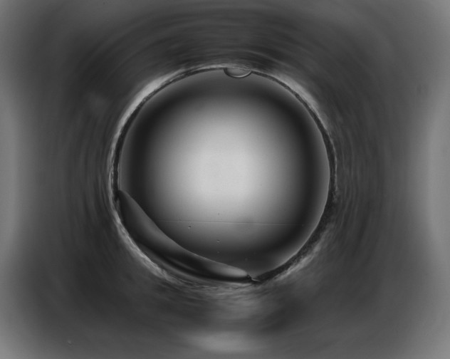 X0000086740949200704131126