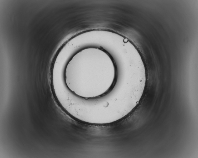 X0000086740950200704131126