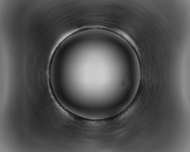 X0000086740951200704131126