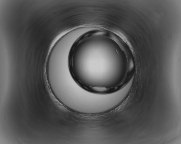 X0000086740952200704131126