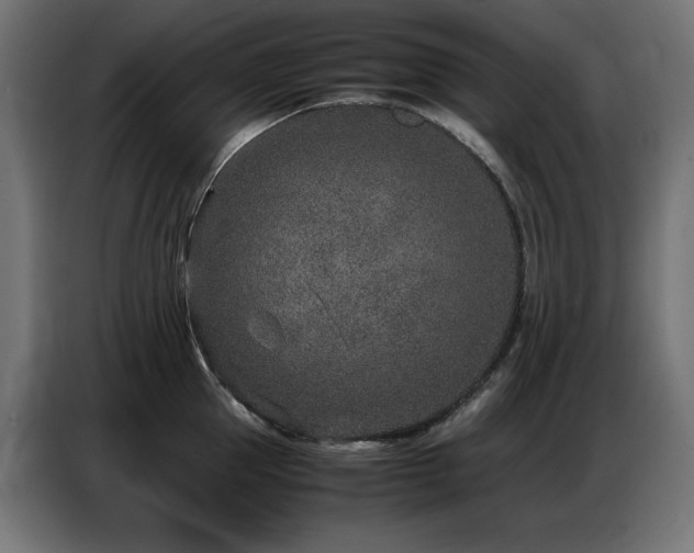 X0000086740953200704131126