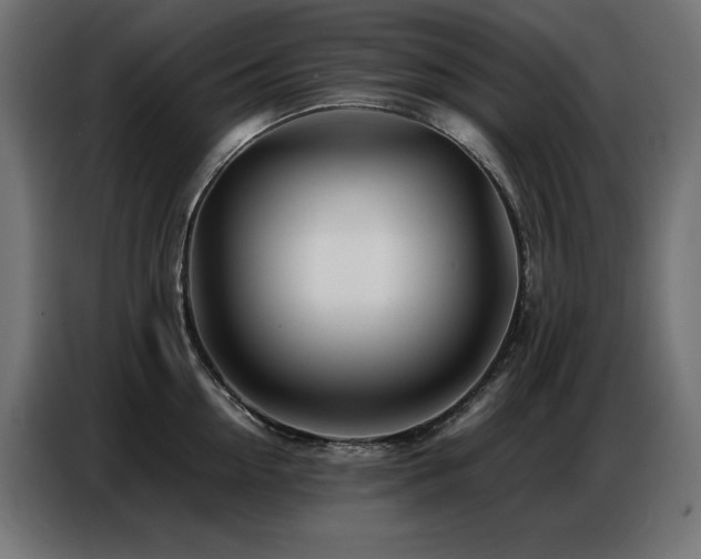 X0000086740954200704131126