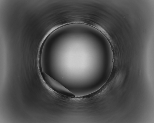 X0000086740955200704131126