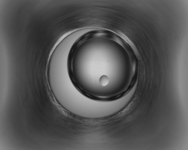 X0000086740956200704131126