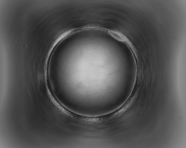 X0000086740957200704131126