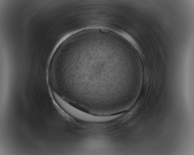 X0000086740958200704131126