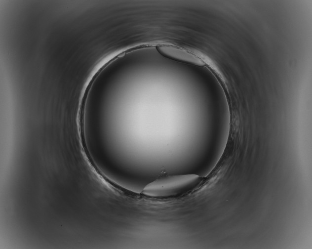 X0000086740959200704131126