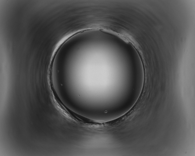 X0000086740960200704131126