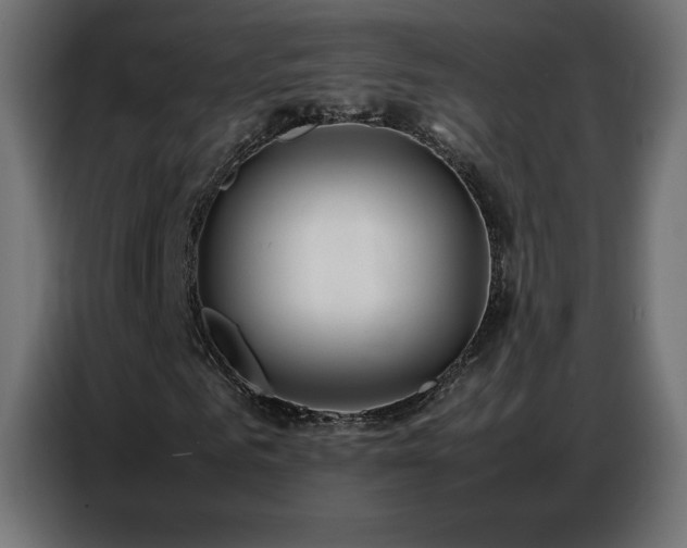 X0000086740961200704131125