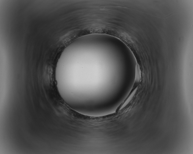X0000086740964200704131125