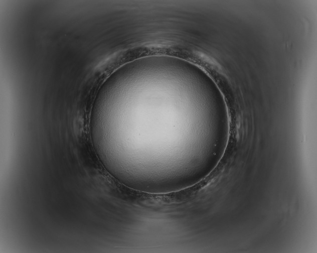 X0000086740966200704131125