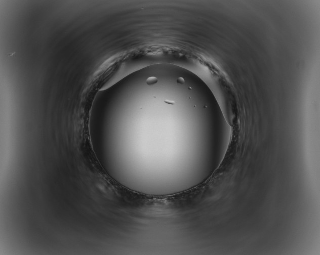 X0000086740968200704131125