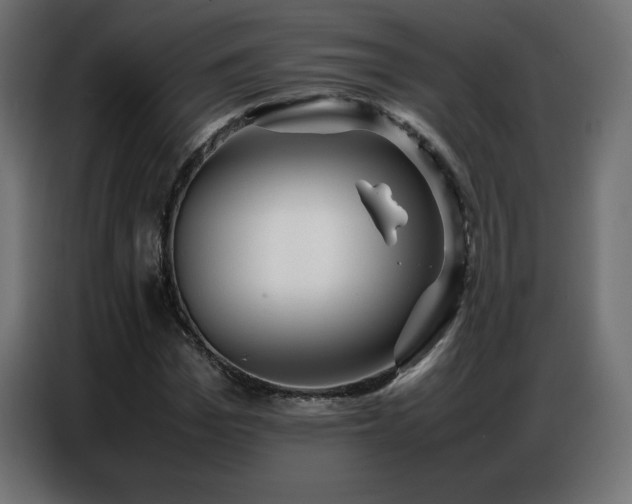X0000086740969200704131125