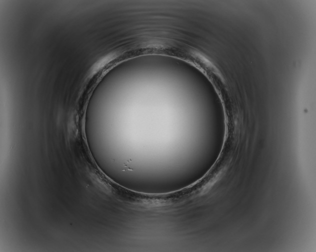 X0000086740970200704131125
