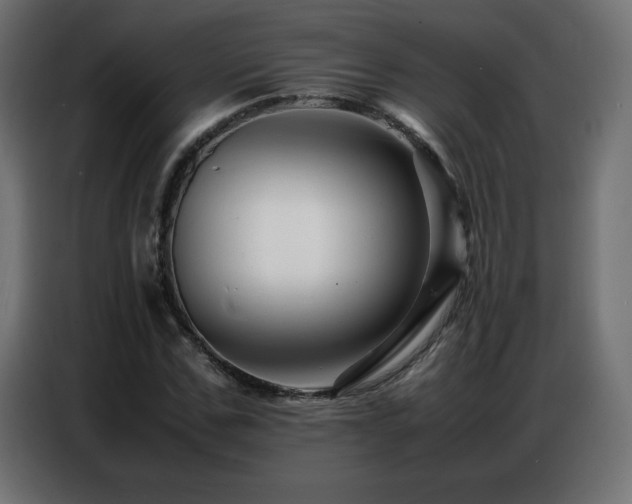 X0000086740971200704131125