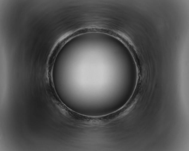 X0000086740974200704131125