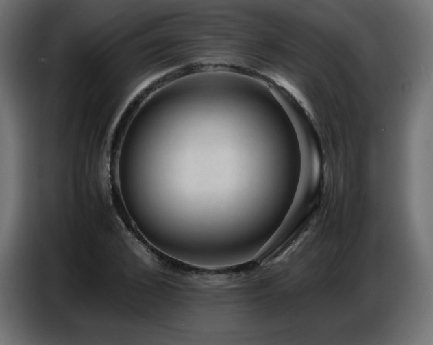 X0000086740976200704131125