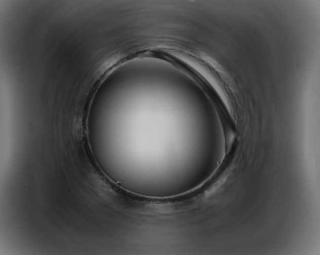 X0000086740977200704131125