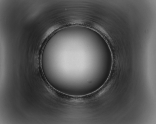X0000086740978200704131125