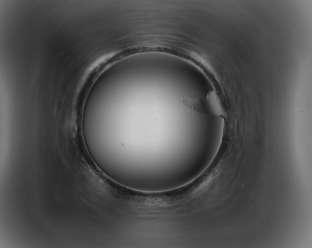 X0000086740979200704131125