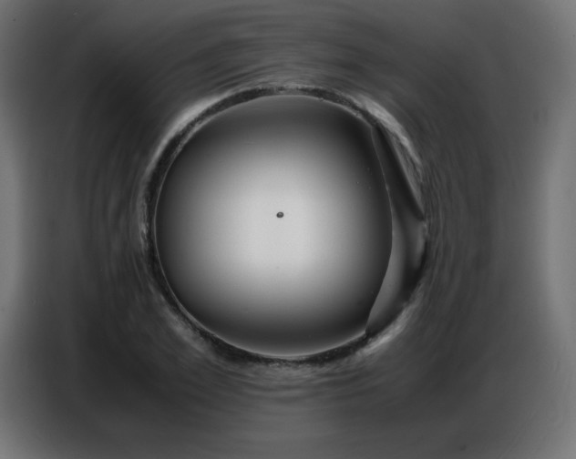 X0000086740981200704131125