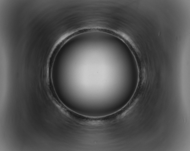 X0000086740982200704131125