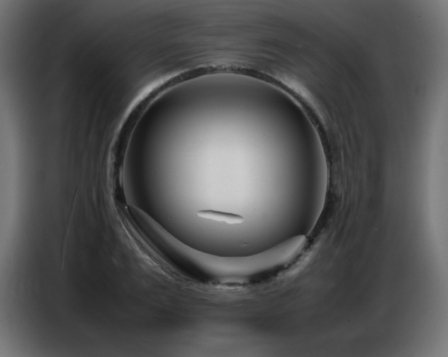 X0000086740983200704131125