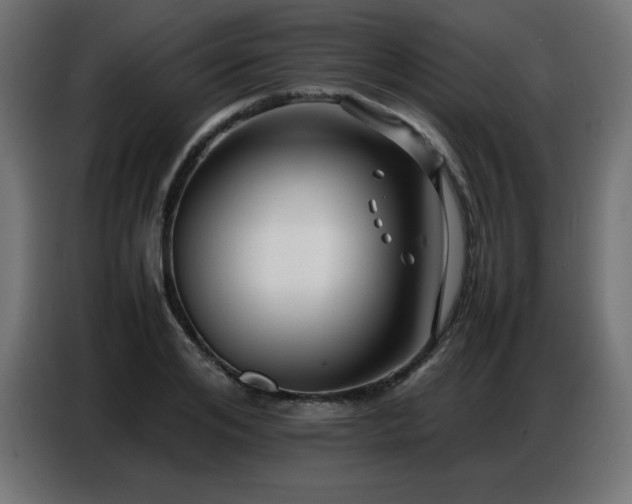 X0000086740984200704131125