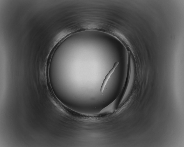 X0000086740986200704131125