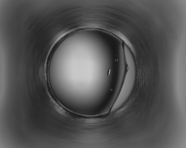 X0000086740988200704131125