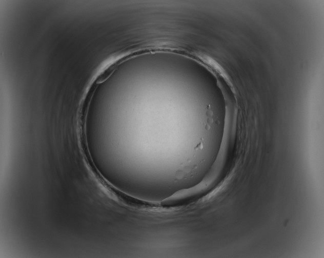 X0000086740989200704131125