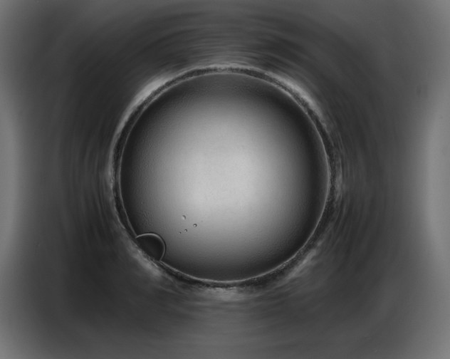 X0000086740990200704131125