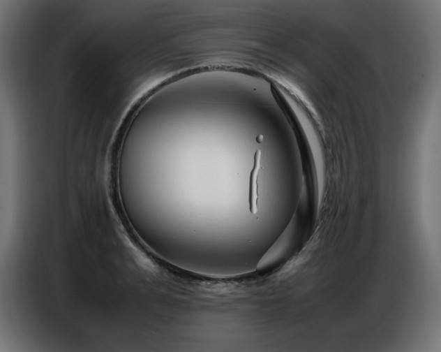 X0000086740991200704131125