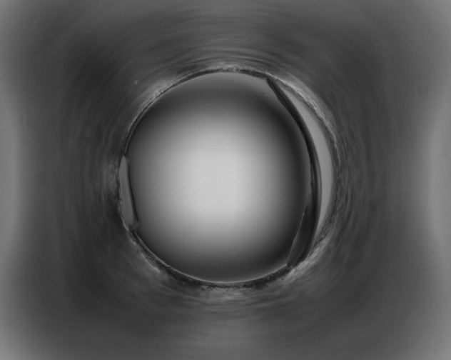 X0000086740993200704131125