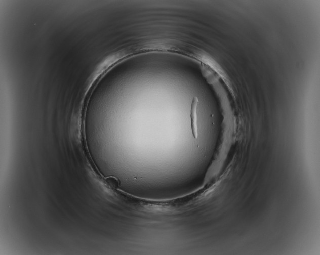 X0000086740994200704131125