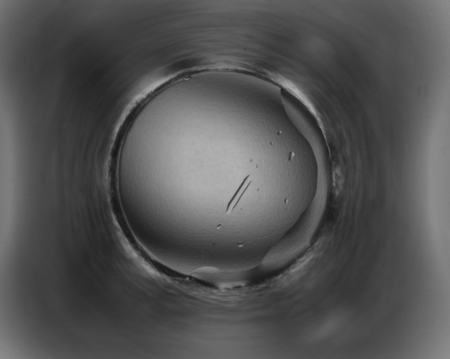 X0000086740995200704131125